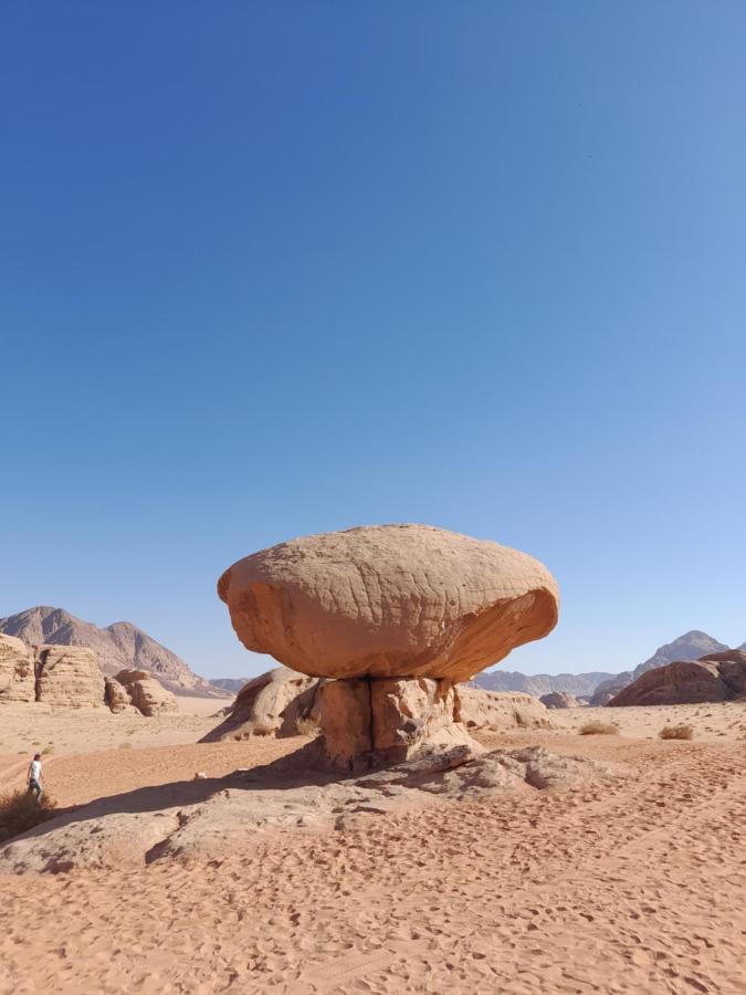 Wadi Rum Camels Camp المظهر الخارجي الصورة